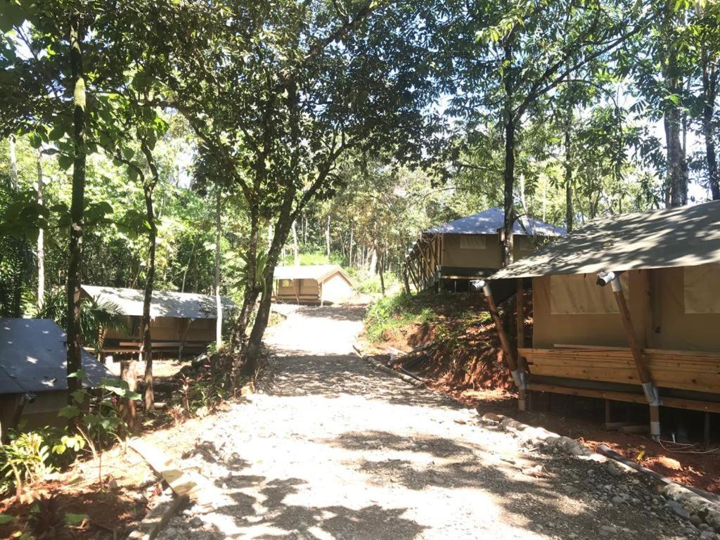 El Pulpo Safari Lodge Ojochal Dış mekan fotoğraf