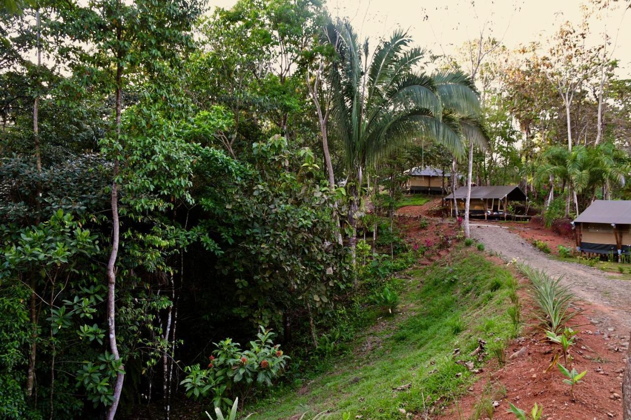 El Pulpo Safari Lodge Ojochal Dış mekan fotoğraf
