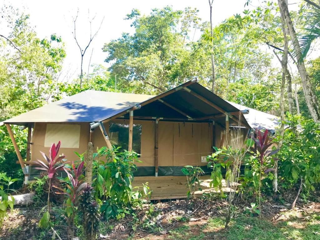El Pulpo Safari Lodge Ojochal Dış mekan fotoğraf
