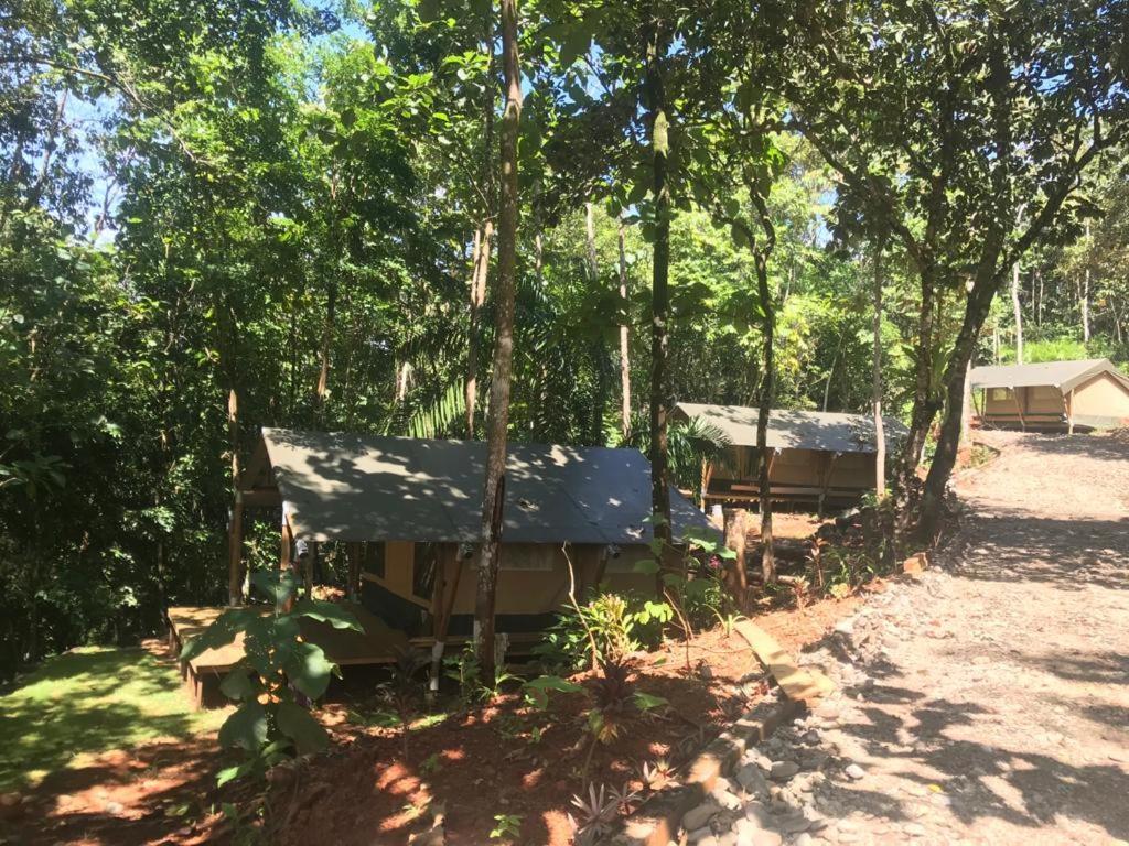El Pulpo Safari Lodge Ojochal Dış mekan fotoğraf