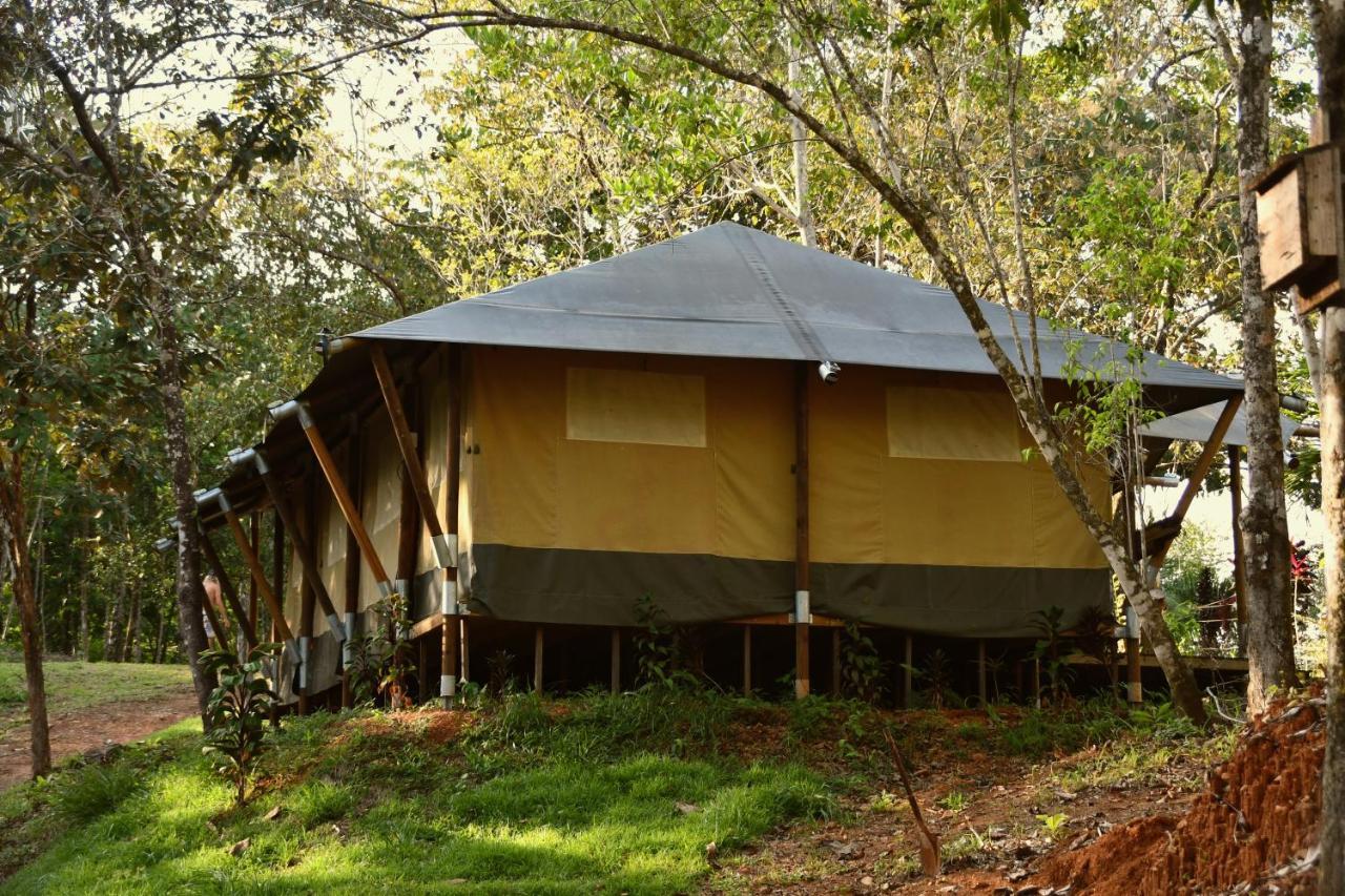 El Pulpo Safari Lodge Ojochal Dış mekan fotoğraf