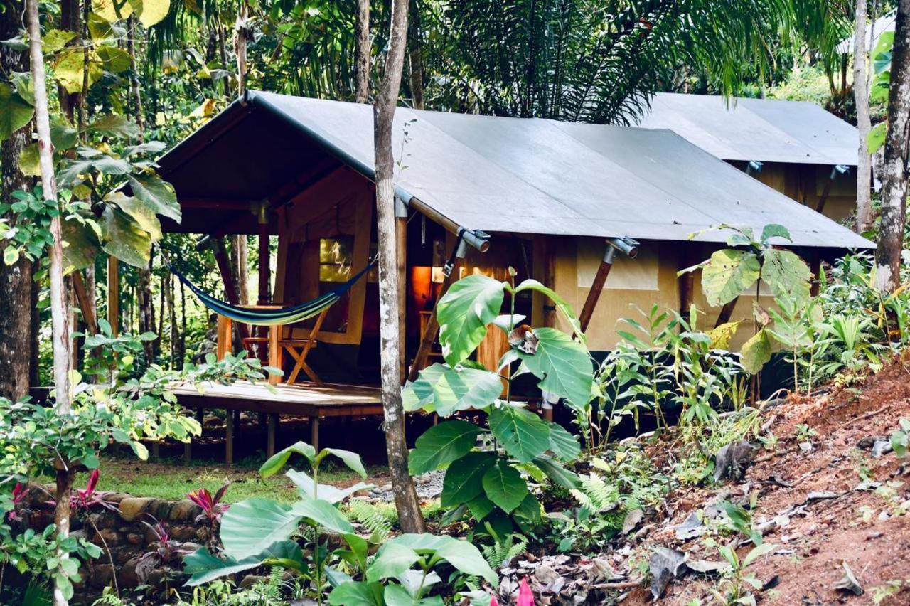 El Pulpo Safari Lodge Ojochal Dış mekan fotoğraf